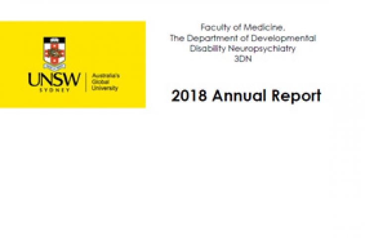 3DN Annual Report 2018